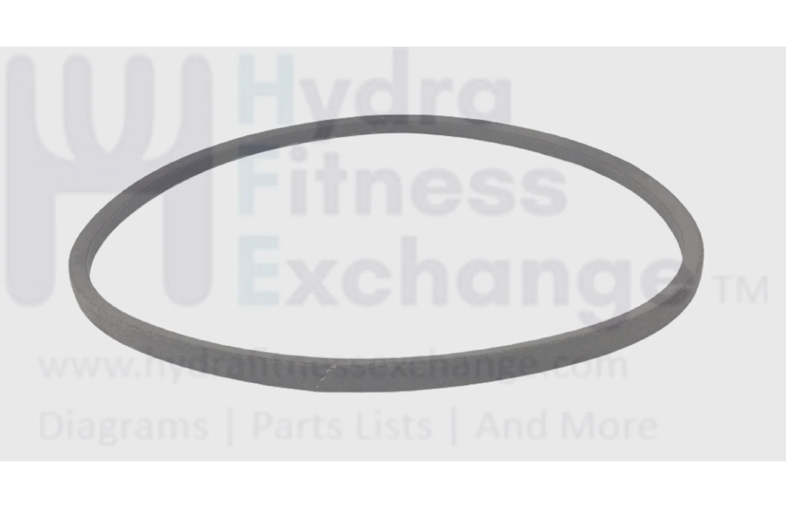 Vitamaster Premier R-8730BP Treadmill Motor Drive Belt 99-101-89 - Image 6