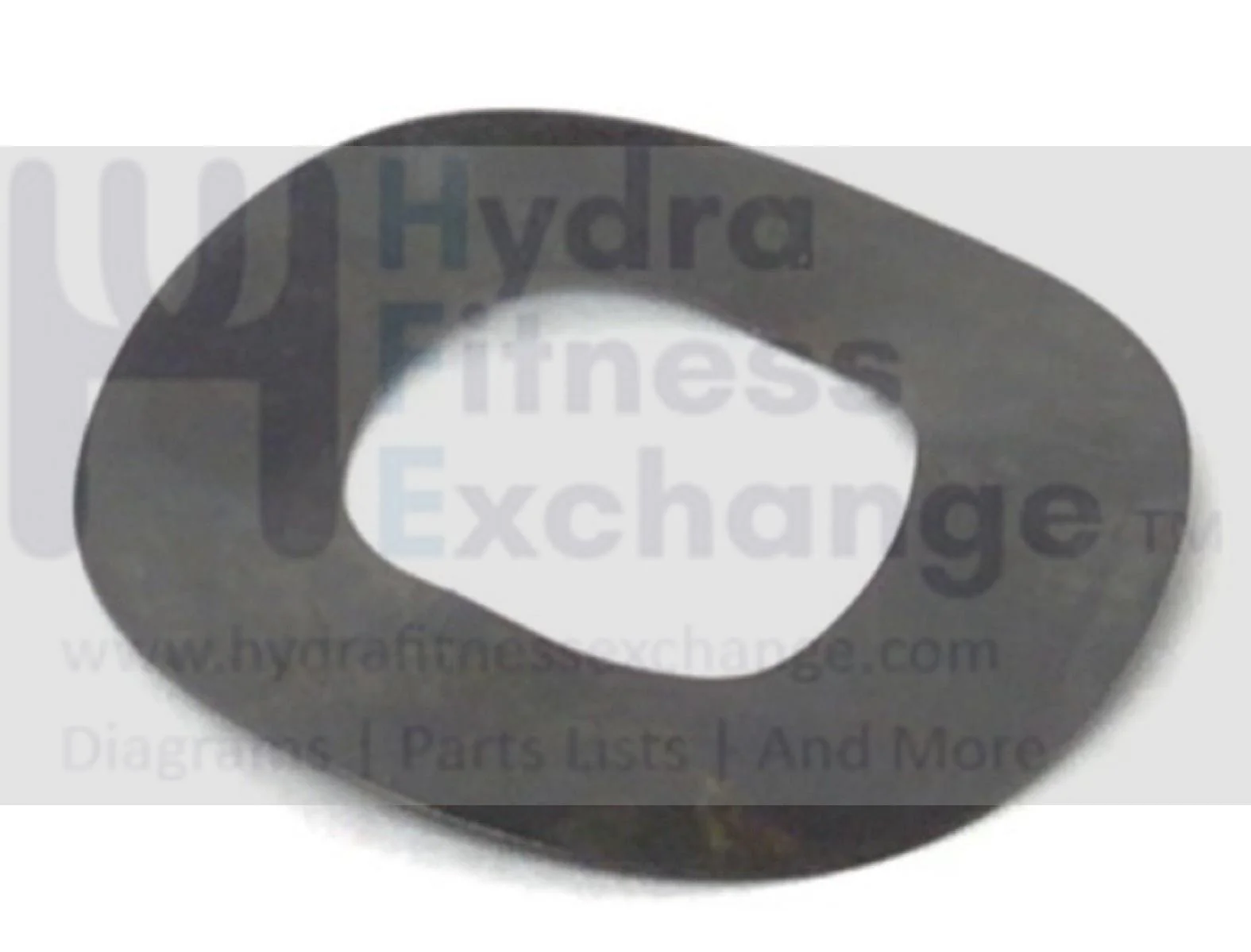 Wave Washer 19.5mm ID x 38mm OD x 0.3mm 1000415053 for Bowflex Elliptical - Image 2