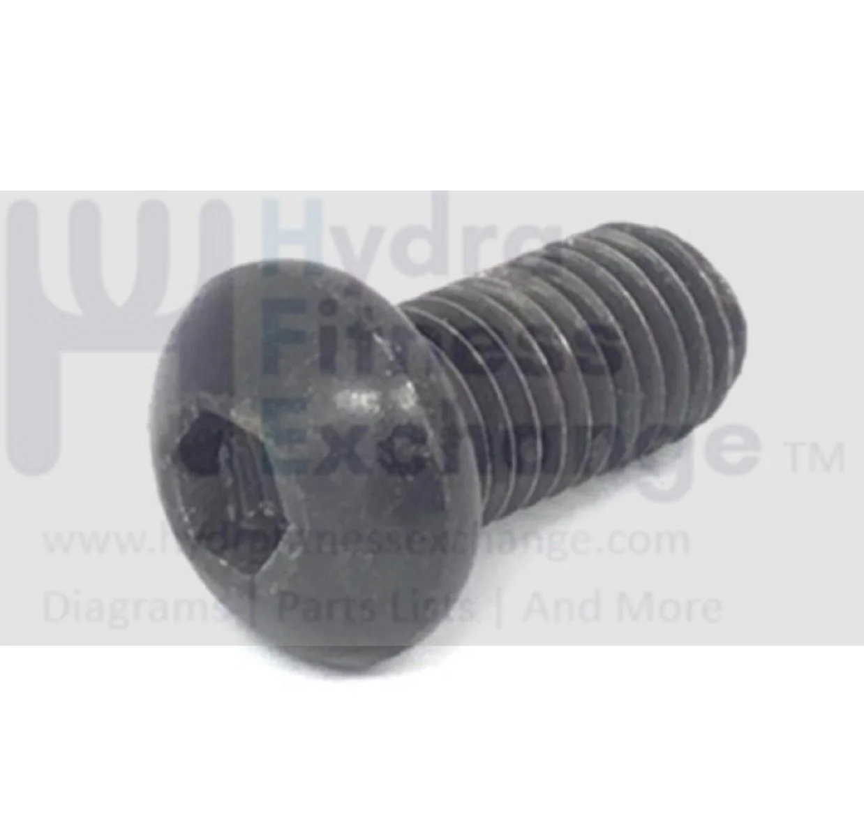 Weider Proform Freemotion Elliptical Button Head Patch Screw M10 x 20mm 248334 - Image 2
