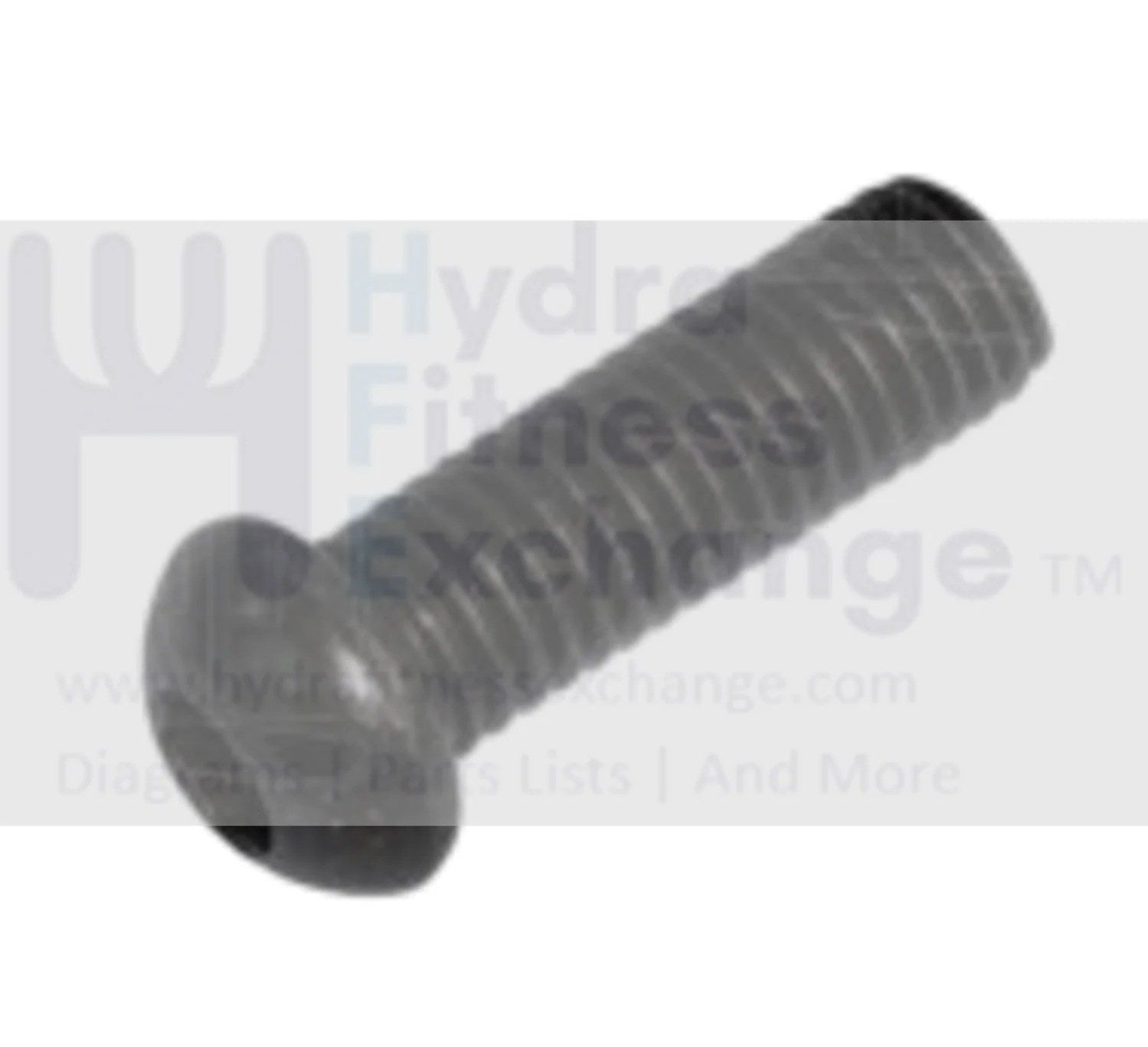 Weider Proform Icon Gold's Gym Freemotion Miscellaneous Cardio Button Head Screw M10 x 30mm 193239