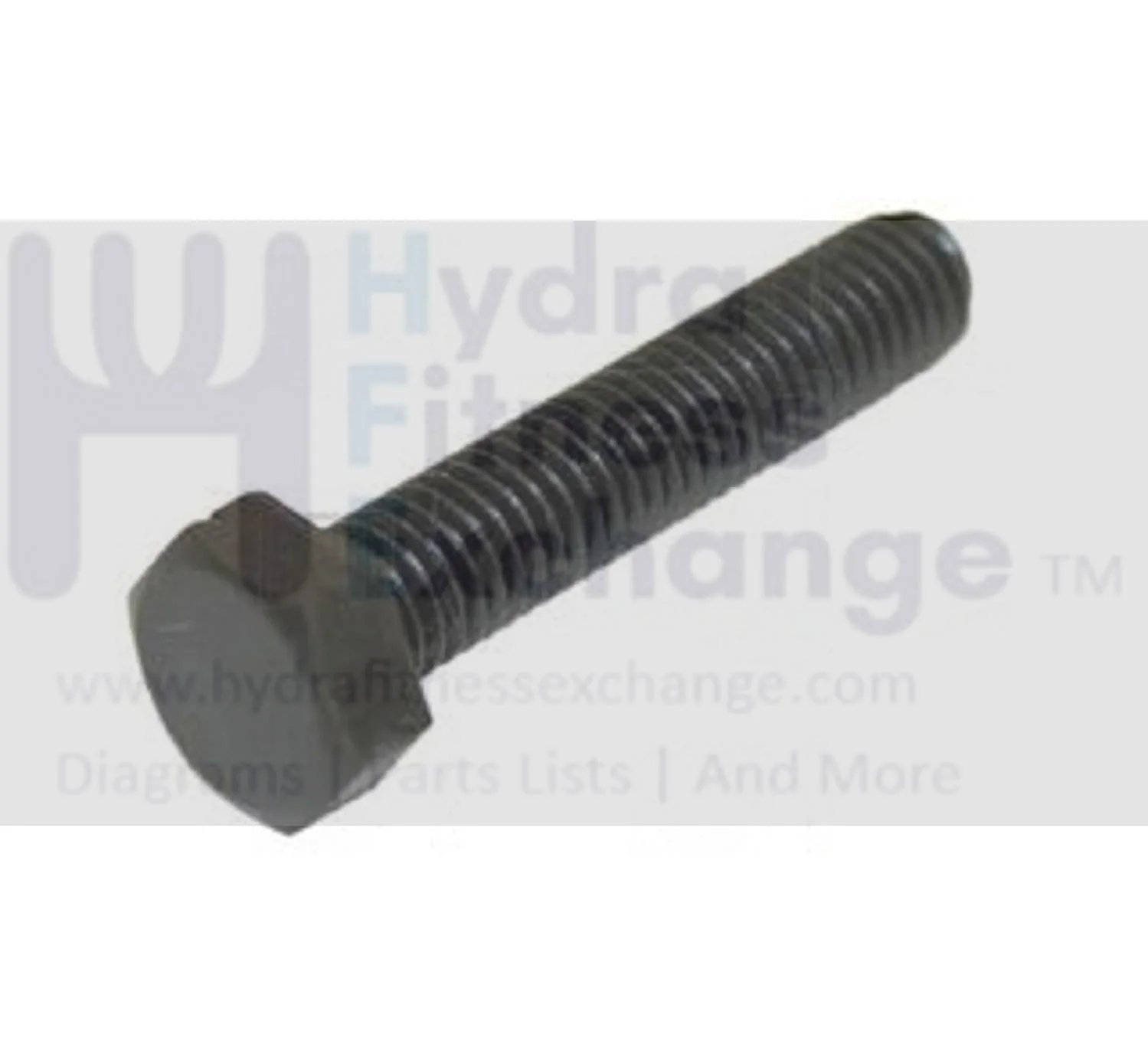 Weslo Proform Nordictrack Image Icon Health Rider Gold's Gym Bodyfit Strength System Button Hex Bolt M8 x 41mm 194339