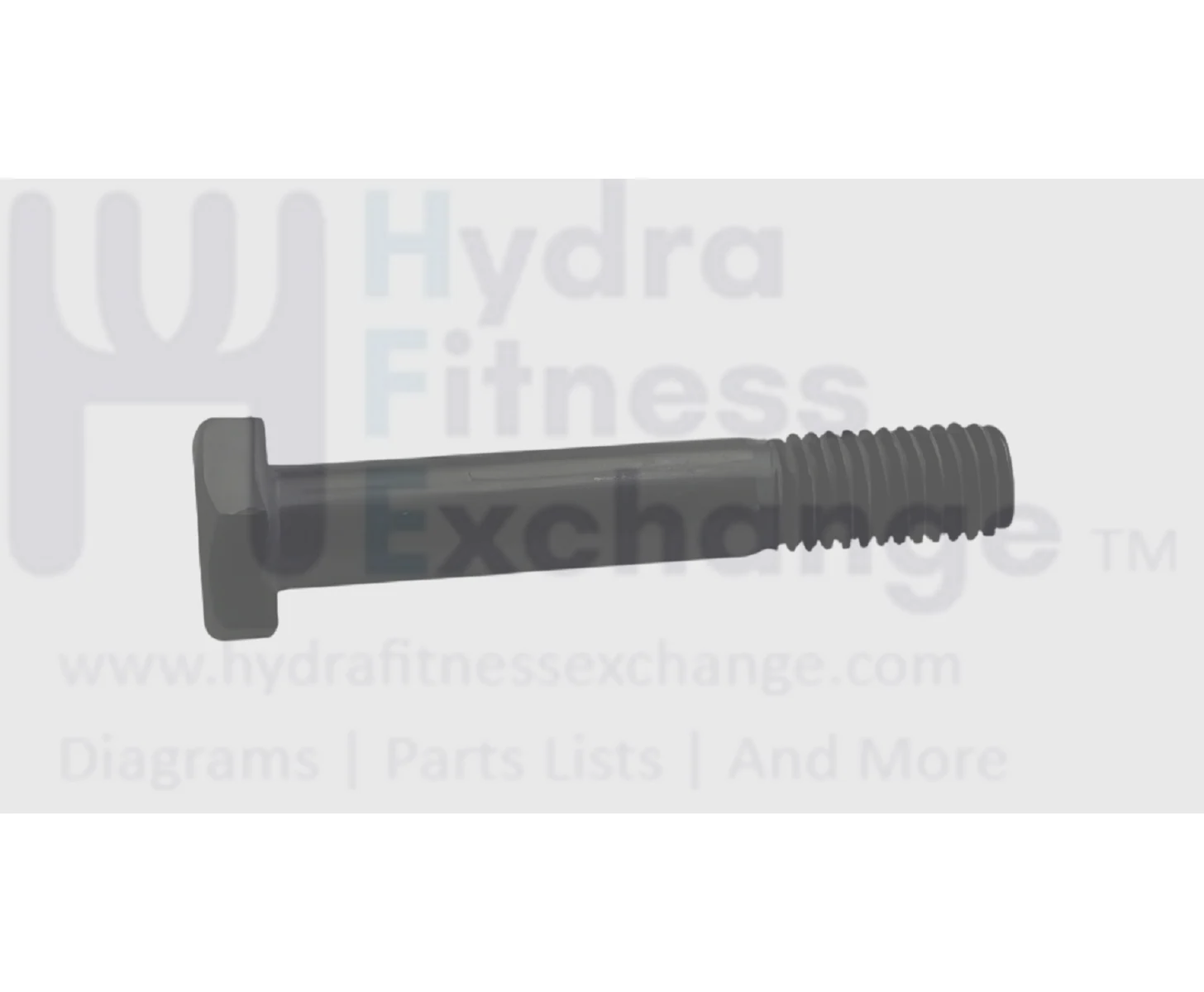 Weslo ProForm Strength System Round Head Hex Socket Screw M10 x 155mm 191144