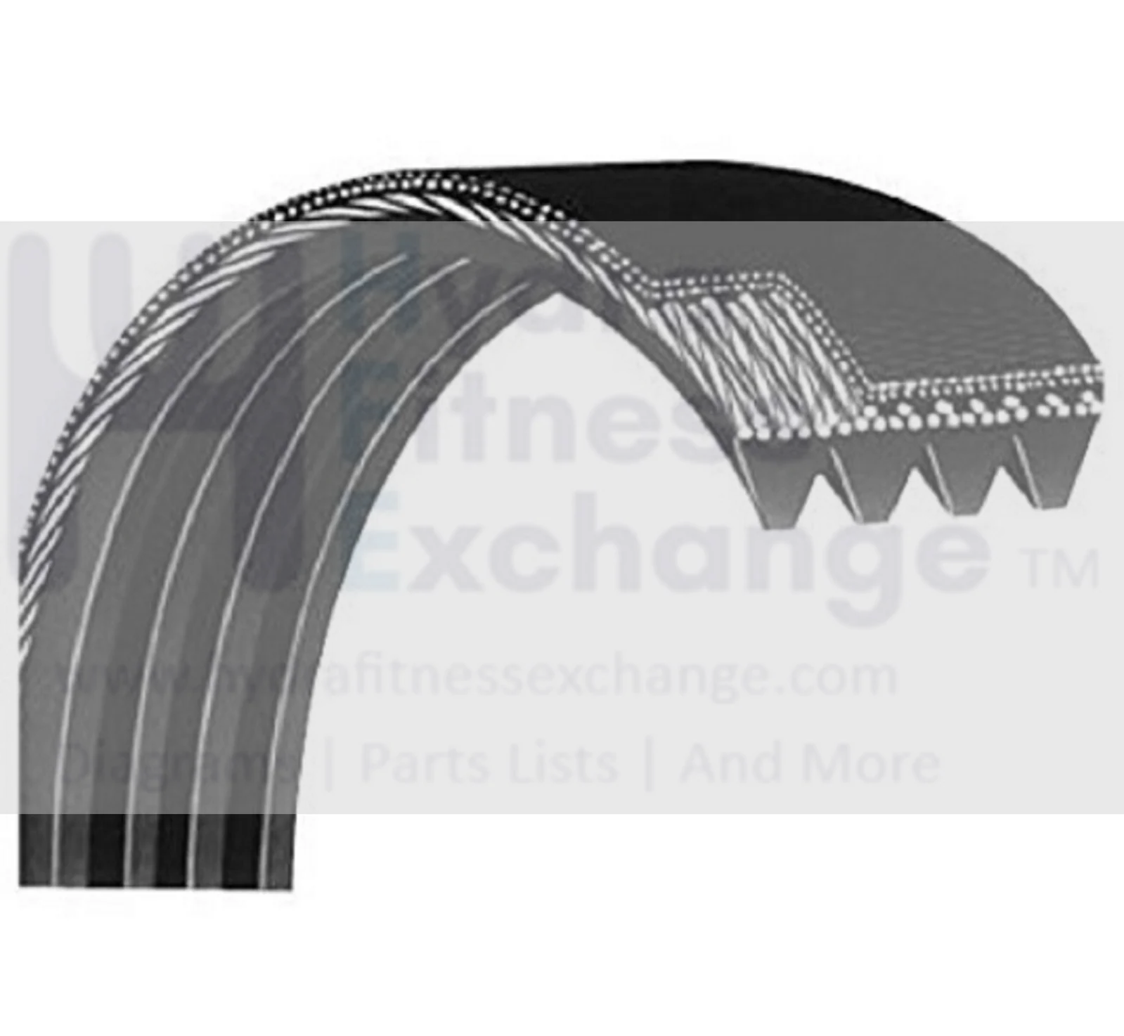 Used Weslo SportsArt Lifestyler Proform Treadmill Poly V Motor Drive Belt 29" 100410