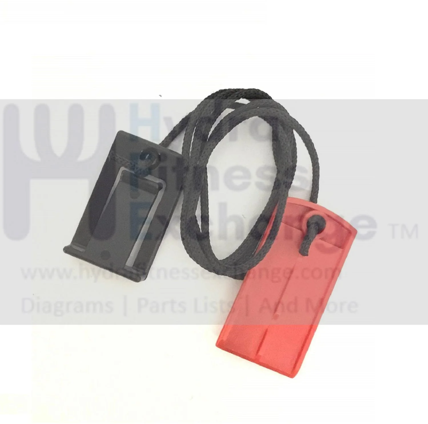 Weslo Tony Little Reebok Proform Nordictrack Life Styler Image Icon Health Rider Good Family Gold's Gym Freemotion Treadmill Safety Key Lanyard 119038