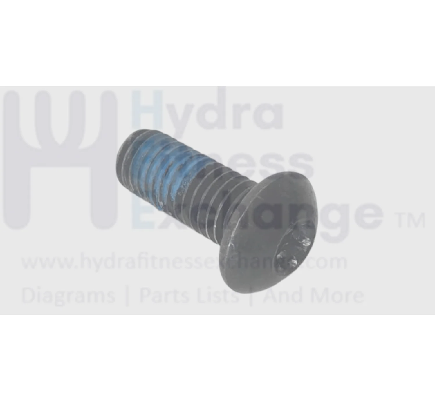 Weslo Weider Reebok Proform Nordictrack Icon Gold's Gym Freemotion Elliptical Button Screw M10 x 25mm 232289