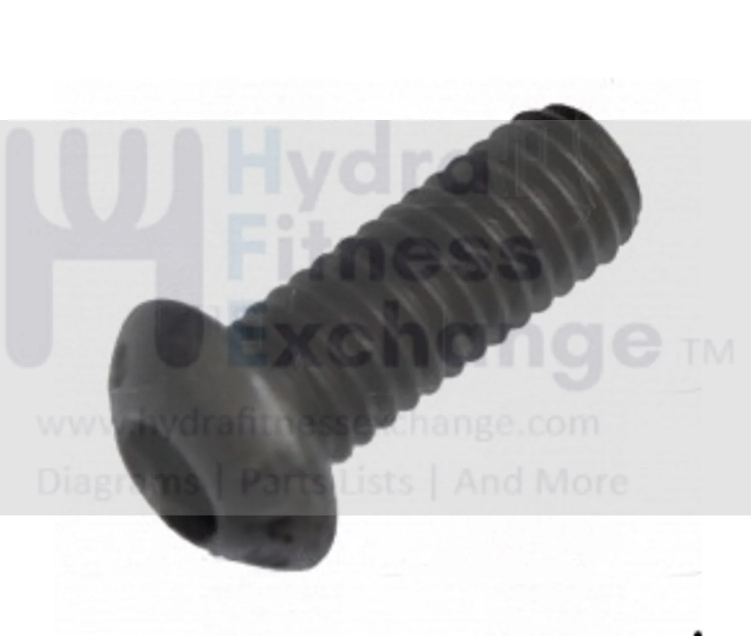 Weslo Weider Reebok Proform Nordictrack Image Icon Elliptical Button Head Screw M6 x 16mm 199493