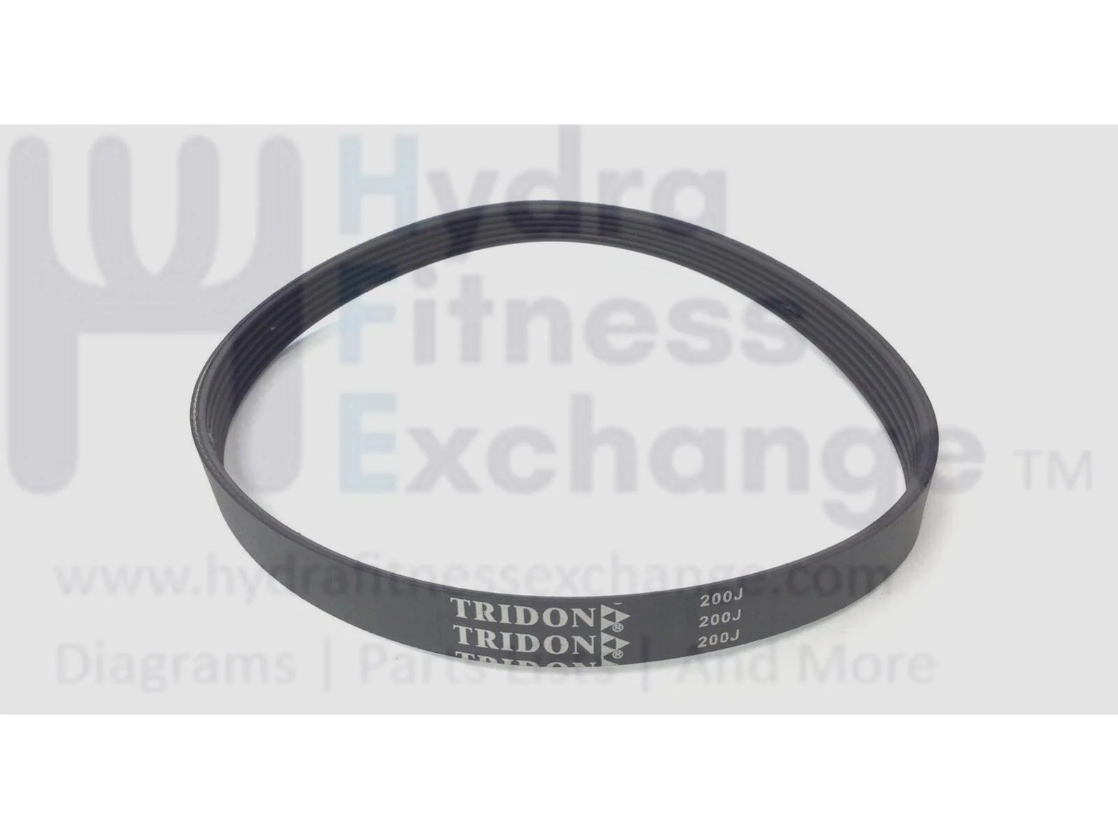 Xterra Fitness TR150- 450887 Treadmill Motor Drive Belt N011005 - Image 2