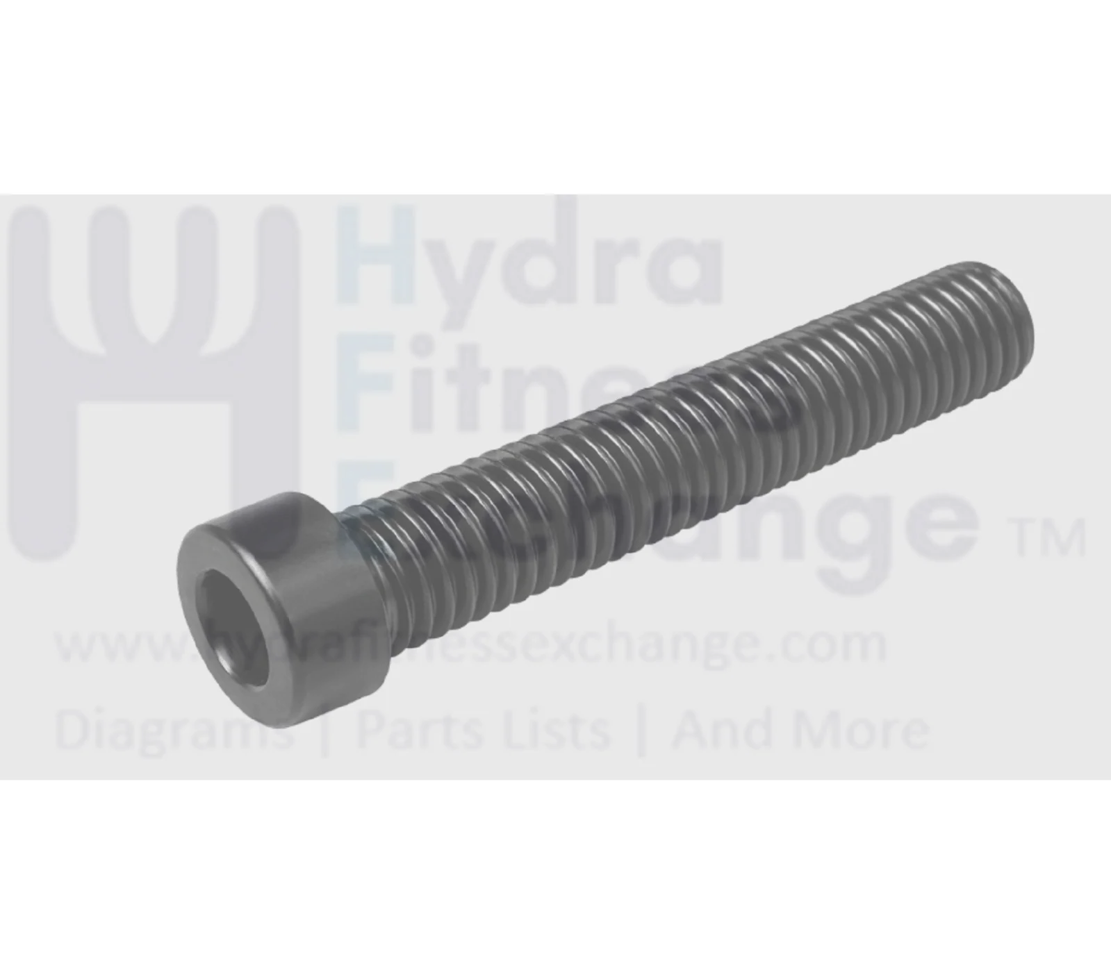 Xterra Fitness Treadmill Round Head Hex Socket Screw M8 - 1.25 x 80mm J033016-ZS