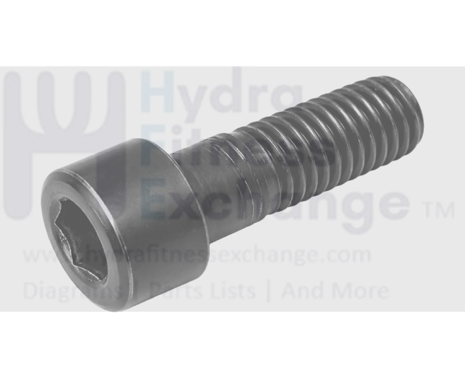 Xterra Treadmill Round Head Hex Socket Screw M10 - 1.5 x 25mm x 15mm Threads