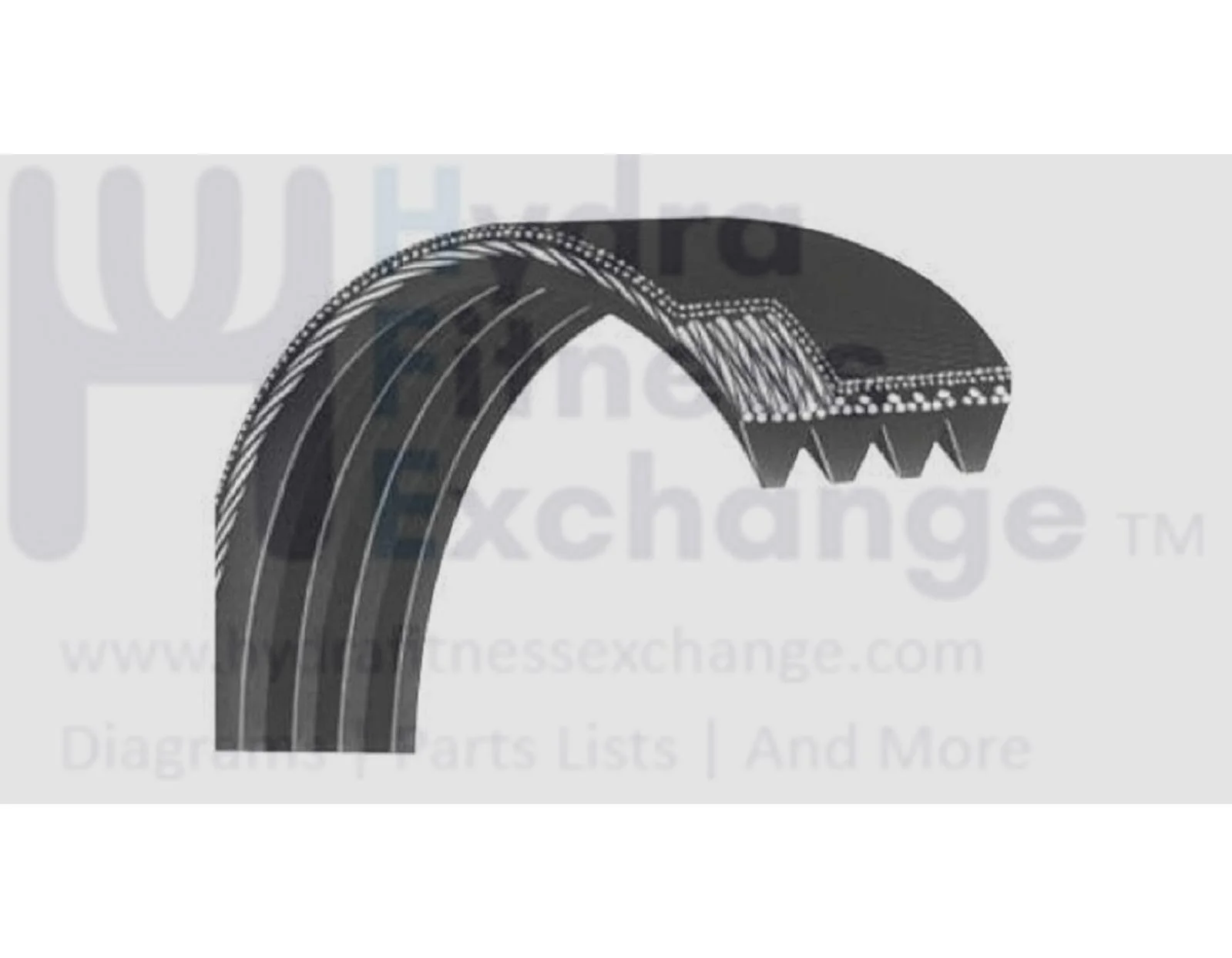 Xystos X1 Treadmill Motor Drive Belt 22"