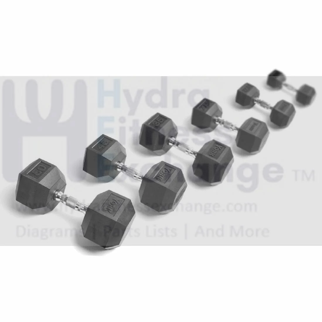 York Barbell Freeweight Rubber Hex Dumbbell Set 55 to 100 lb Pair Set