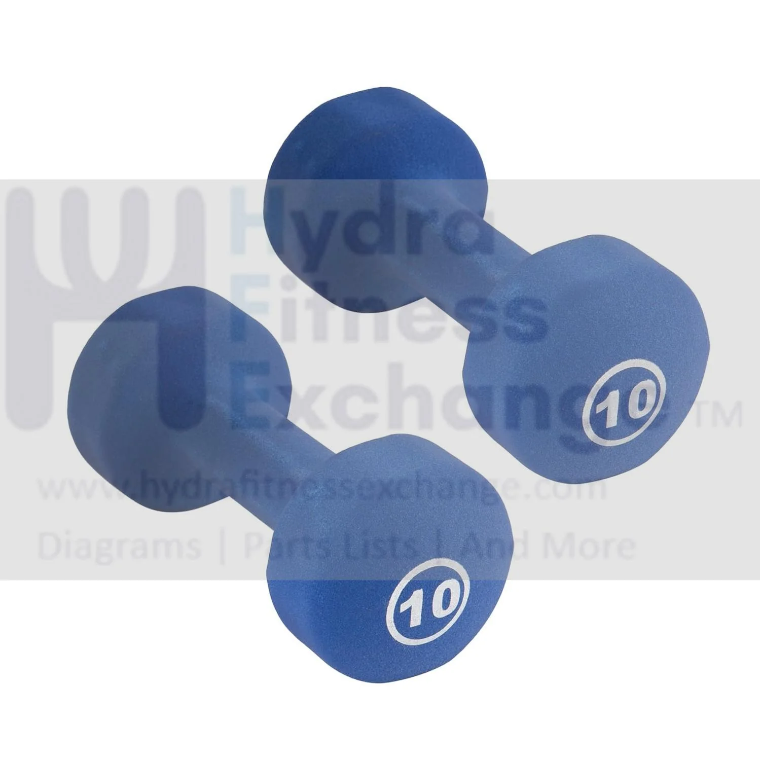 York Barbell Neoprene Coated Fitbell Dumbbell 10LB Pack 2 Dumbbell Set Women&Men