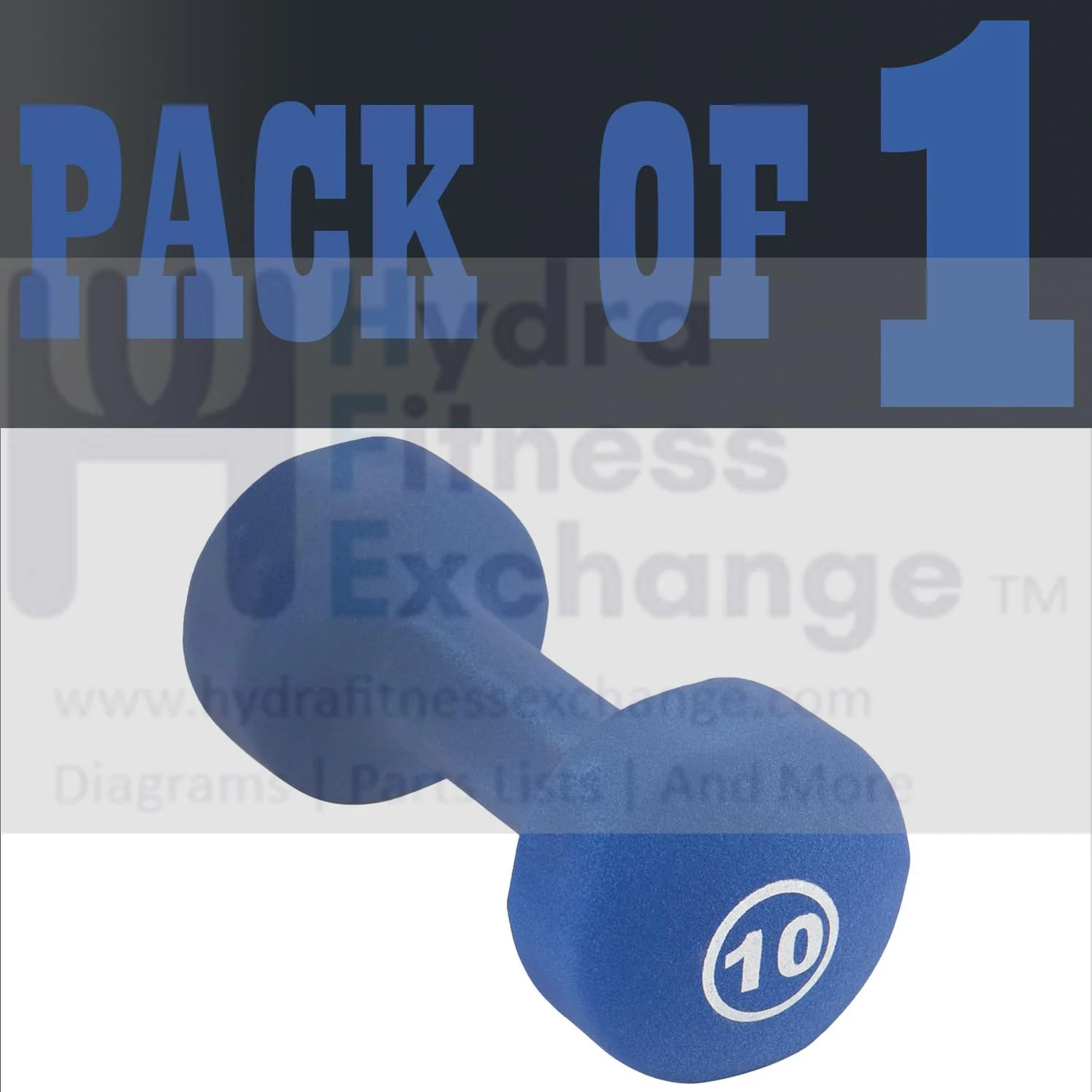 York Barbell Neoprene Coated Fitbell Dumbbell (10LB Pack of 1) | Dumbbell Set for Women & Men Durable Anti-Roll Anti-Slip, Color Royal Blue | Ideal for Arm Rows Squats Chest Presses Bicep Curls - Image 8
