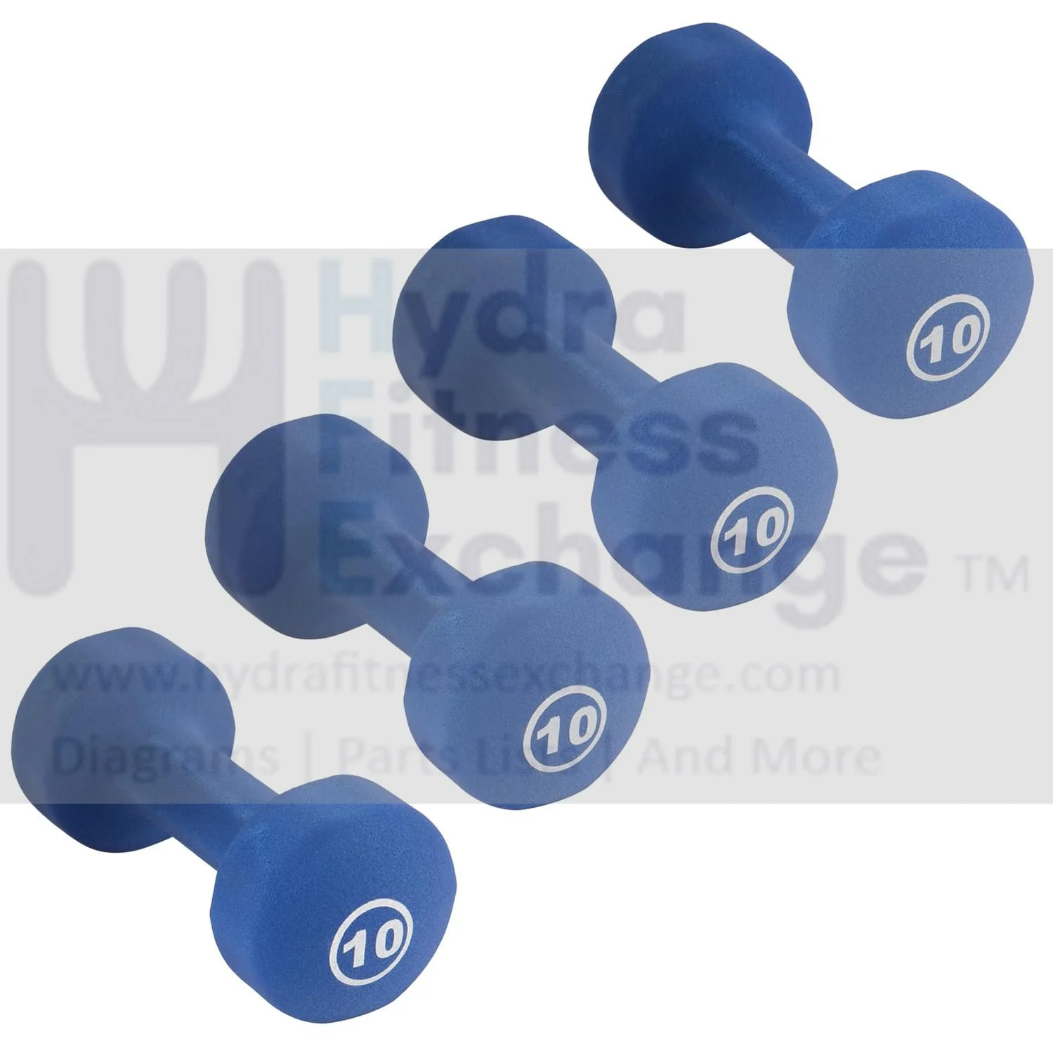 York Barbell Neoprene Coated Fitbell Dumbbell (10LB Pack of 4) | Dumbbell Set for Women & Men Durable Anti-Roll Anti-Slip, Color Royal Blue | Ideal for Arm Rows Squats Chest Presses Bicep Curls