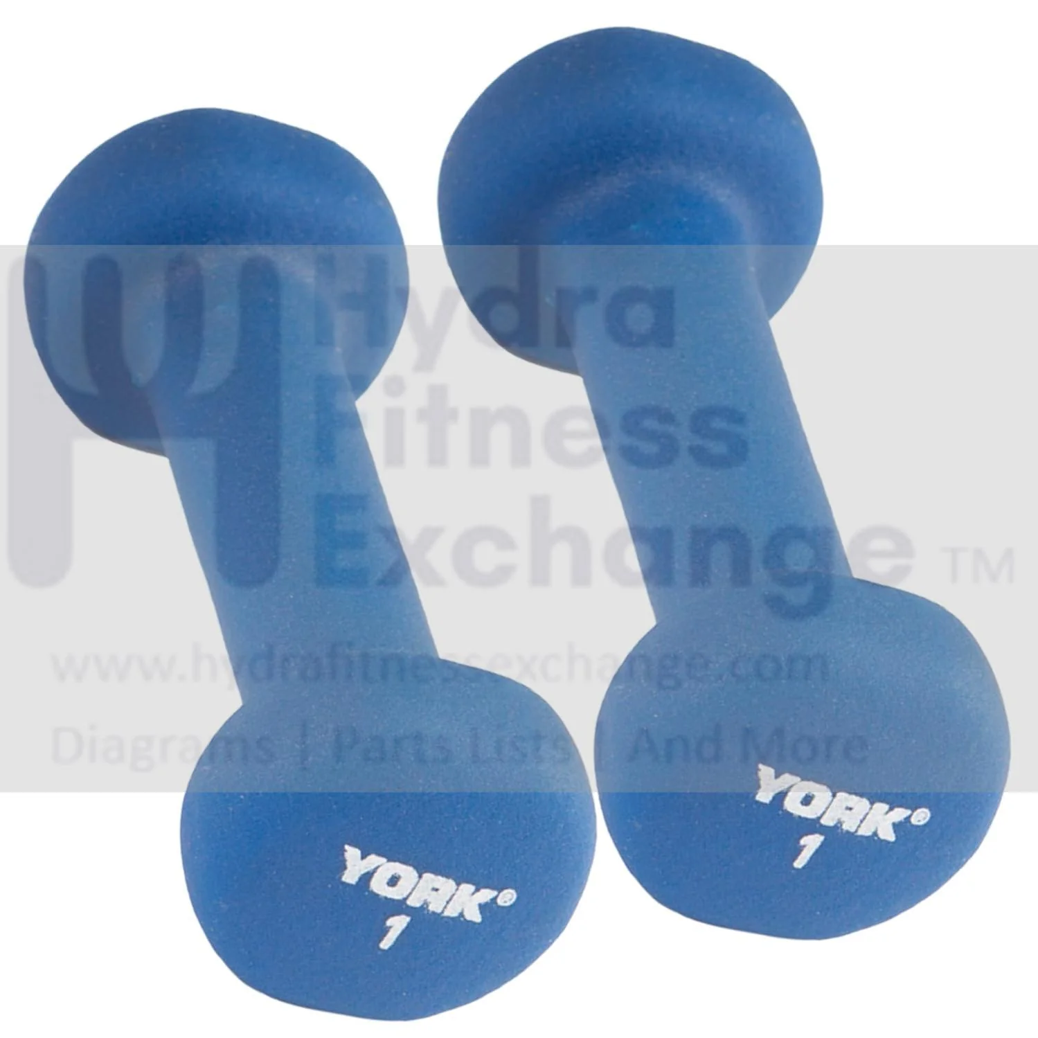 York Barbell Neoprene Coated Fitbell Dumbbell (1LB Pack of 2) | Dumbbell Set for Women & Men Durable Anti-Roll Anti-Slip, Color Blue | Ideal for Arm Rows Squats Chest Presses Bicep Curls
