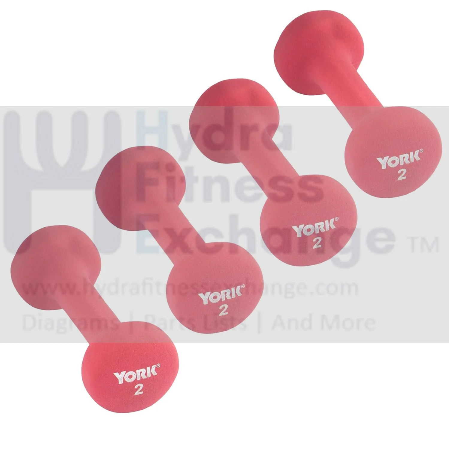 York Barbell Neoprene Coated Fitbell Dumbbell (2LB Pack of 4) | Dumbbell Set for Women & Men Durable Anti-Roll Anti-Slip, Color Red | Ideal for Arm Rows Squats Chest Presses Bicep Curls