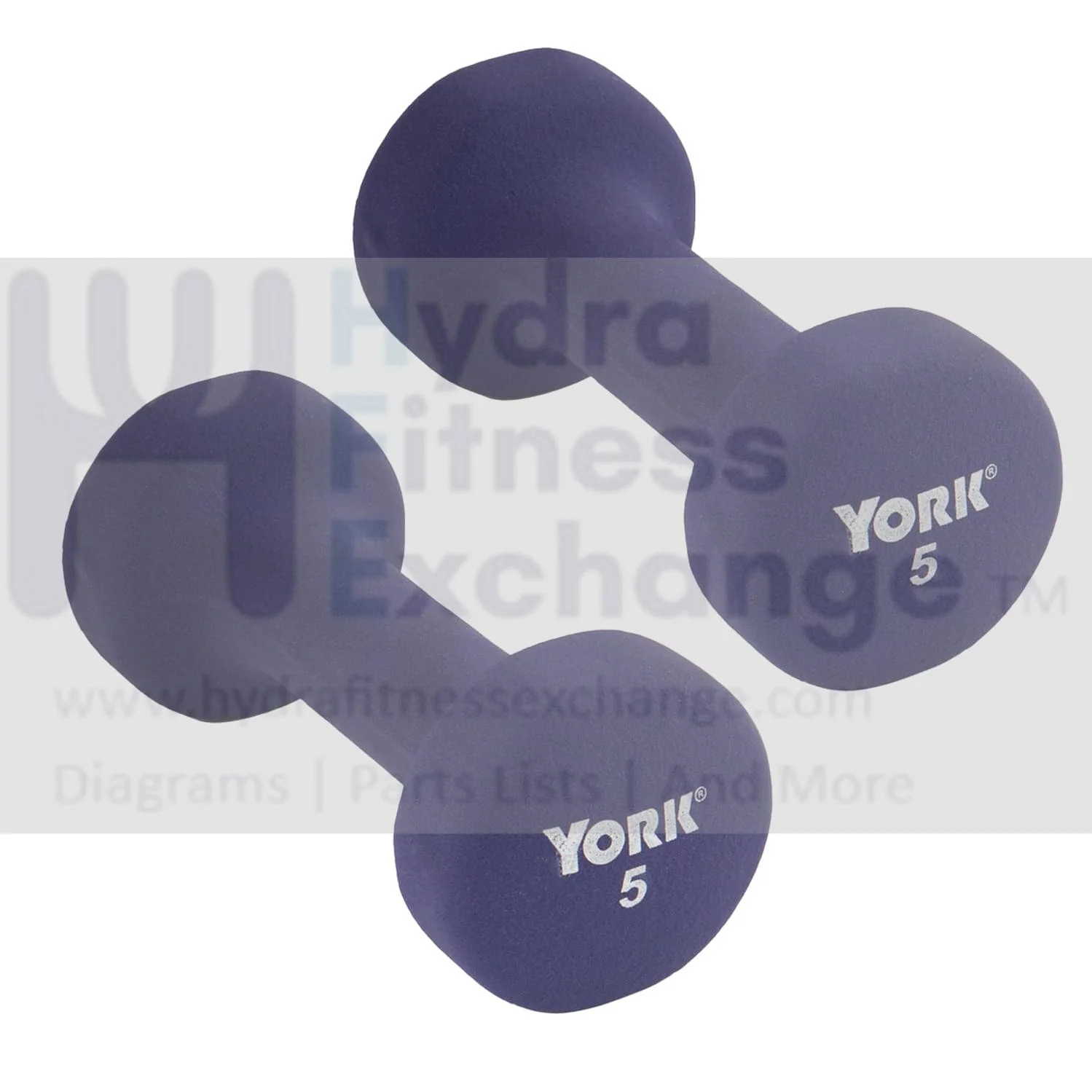 York Barbell Neoprene Coated Fitbell Dumbbell (5LB Pack of 2) | Dumbbell Set for Women & Men Durable Anti-Roll Anti-Slip, Color Purple | Ideal for Arm Rows Squats Chest Presses Bicep Curls