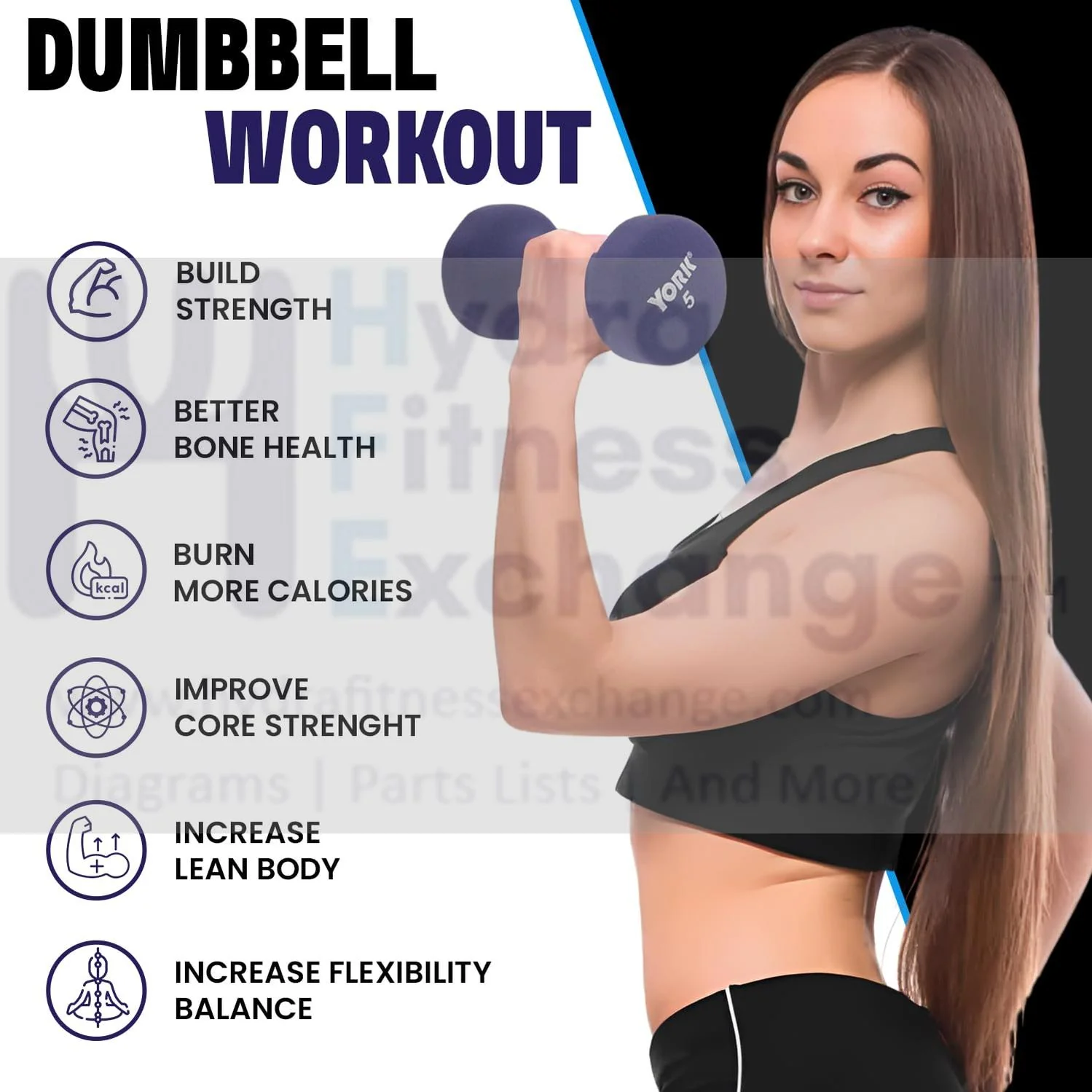 York Barbell Neoprene Coated Fitbell Dumbbell (5LB Pack of 2) | Dumbbell Set for Women & Men Durable Anti-Roll Anti-Slip, Color Purple | Ideal for Arm Rows Squats Chest Presses Bicep Curls - Image 2