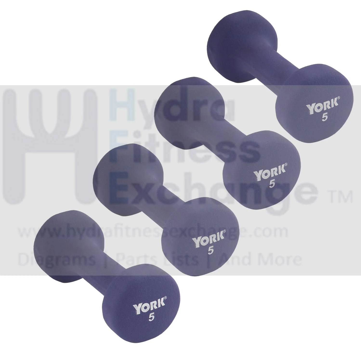 York Barbell Neoprene Coated Fitbell Dumbbell (5LB Pack of 4) | Dumbbell Set for Women & Men Durable Anti-Roll Anti-Slip, Color Purple | Ideal for Arm Rows Squats Chest Presses Bicep Curls