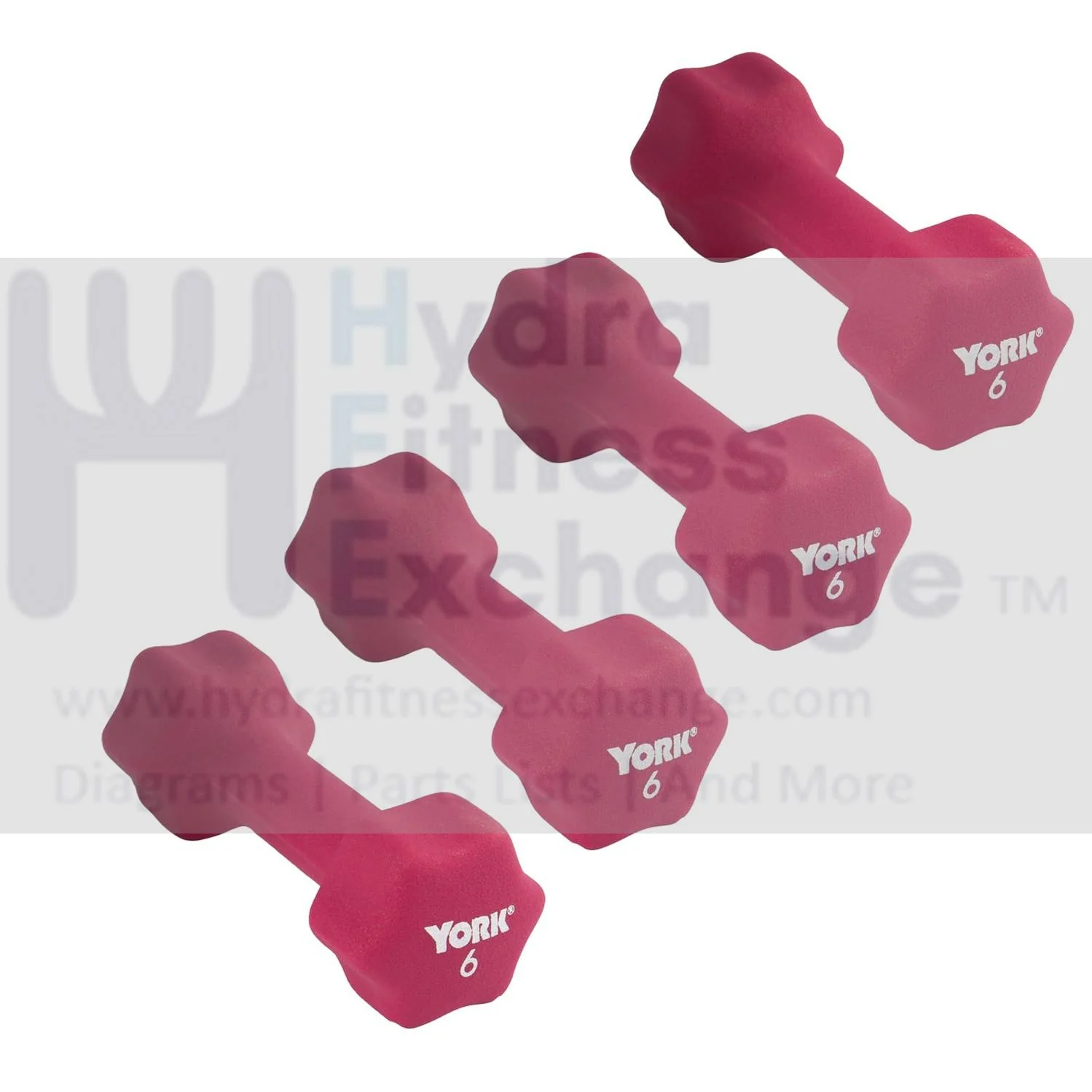 York Barbell Neoprene Coated Fitbell Dumbbell (6LB Pack of 4) | Dumbbell Set for Women & Men Durable Anti-Roll Anti-Slip, Color Magenta | Ideal for Arm Rows Squats Chest Presses Bicep Curls