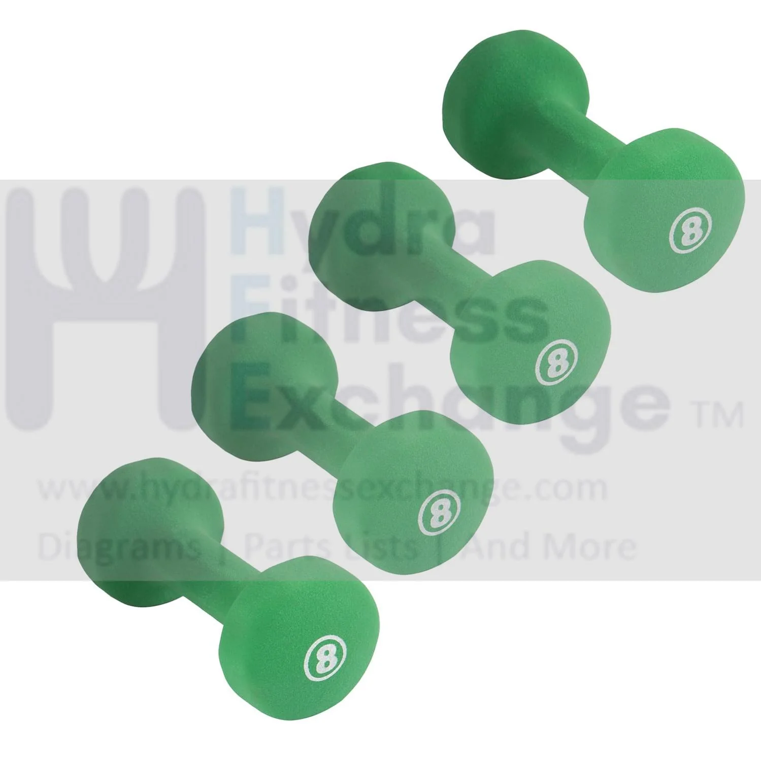 York Barbell Neoprene Coated Fitbell Dumbbell (8LB Pack of 4) | Dumbbell Set for Women & Men Durable Anti-Roll Anti-Slip, Color Green | Ideal for Arm Rows Squats Chest Presses Bicep Curls