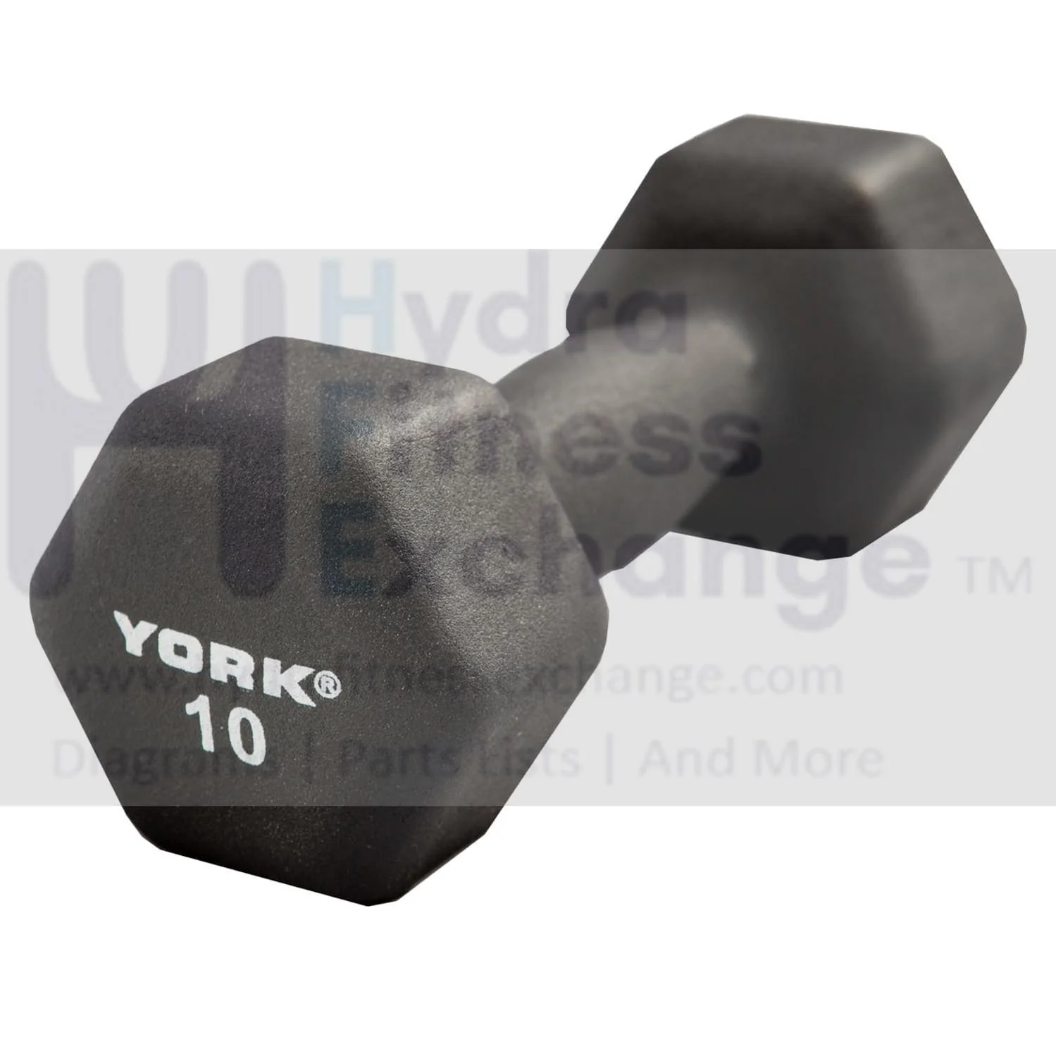 York Barbell Neoprene Hexagon Dumbbells with Cast Ergo Handle (10lb, Pack of 1)