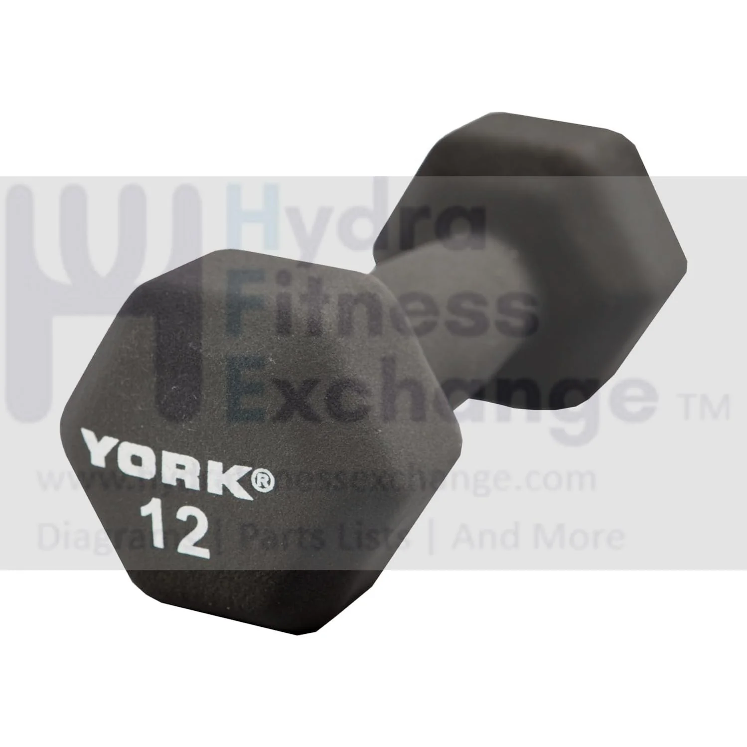 York Barbell Neoprene Hexagon Dumbbells with Cast Ergo Handle (12lb, Pack of 1)