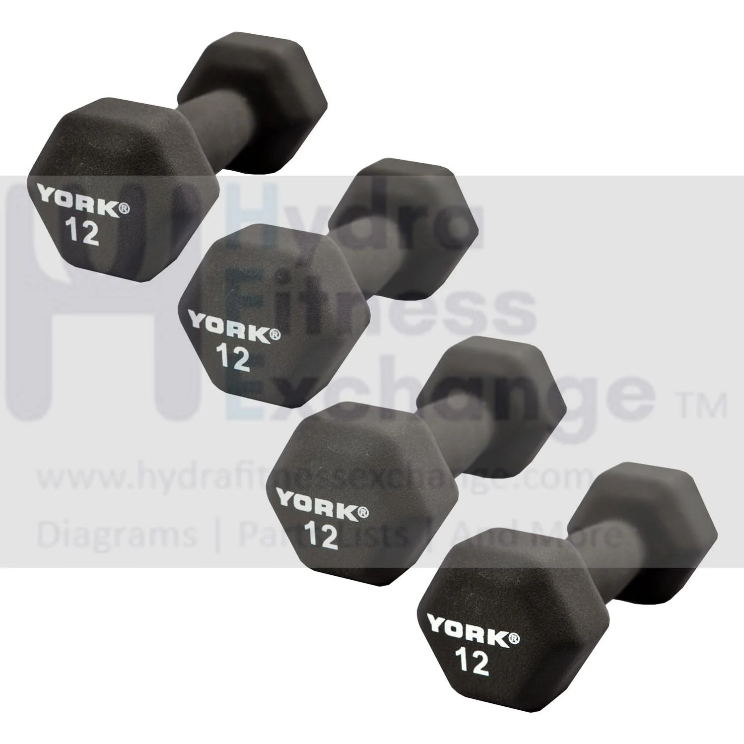 York Barbell Neoprene Hexagon Dumbbells with Cast Ergo Handle (12lb, Pack of 4)