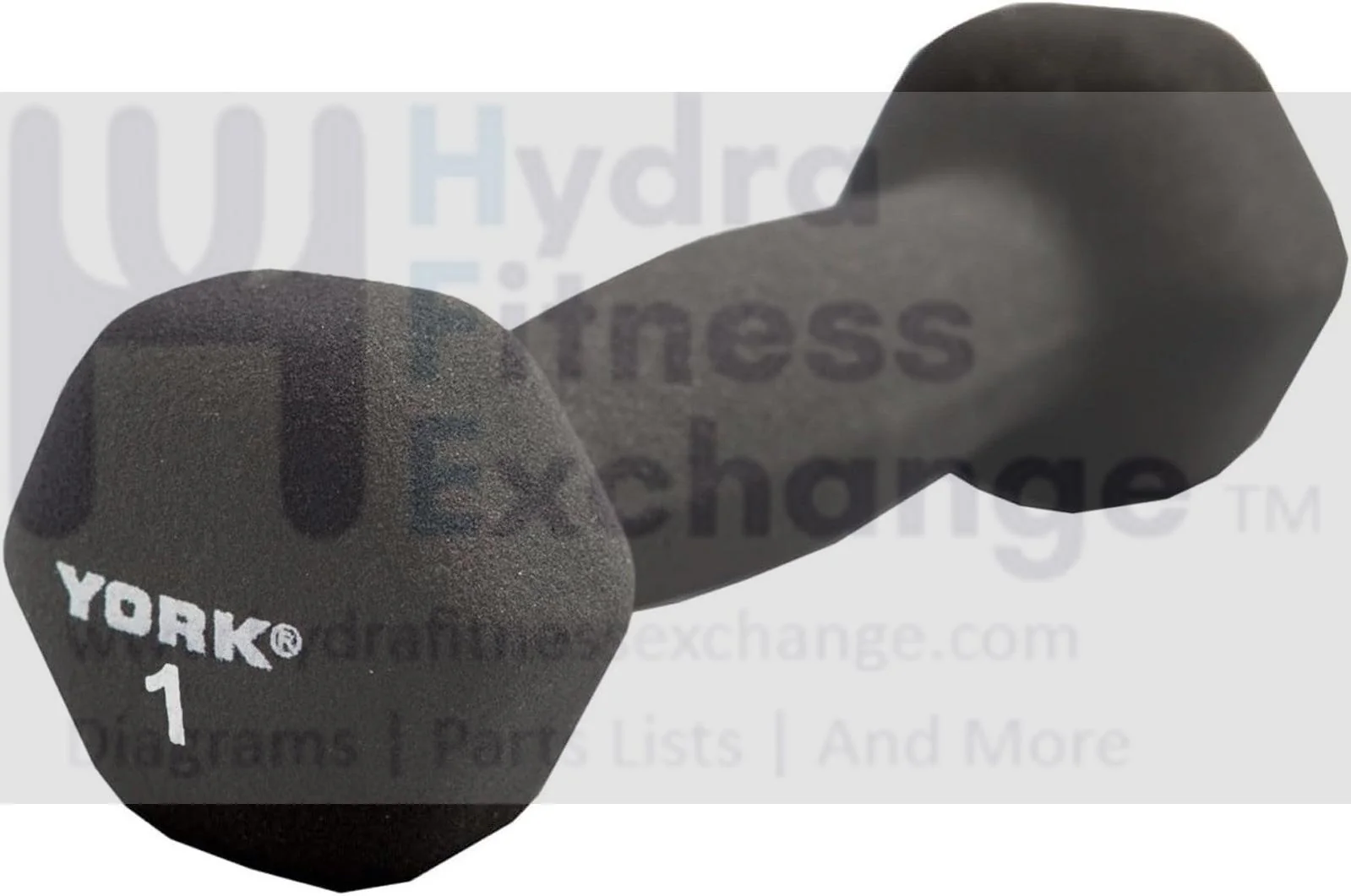York Barbell Neoprene Hexagon Dumbbells with Cast Ergo Handle 1lb Pack 1 Durable