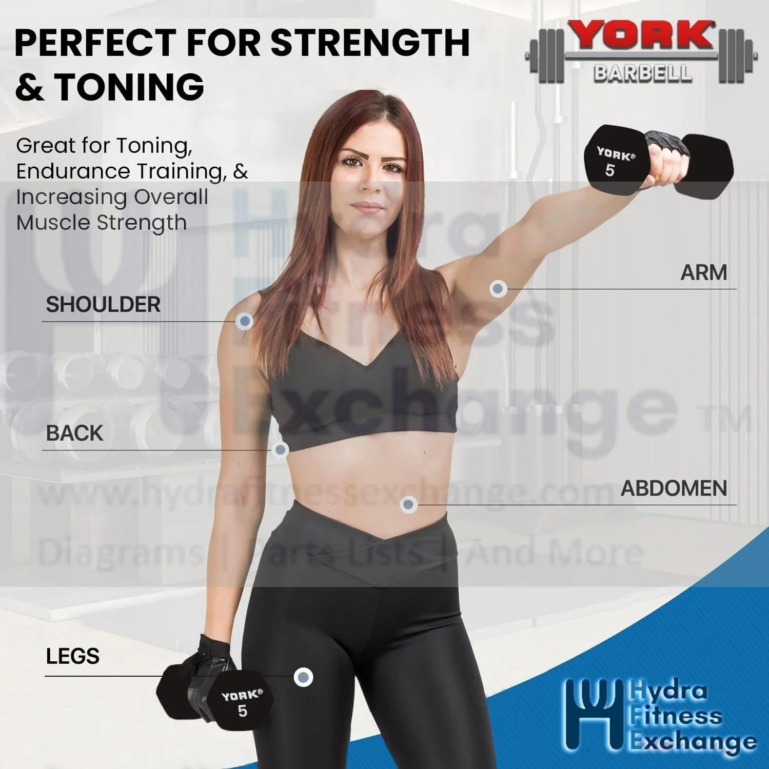 York Barbell Neoprene Hexagon Dumbbells with Cast Ergo Handle 1lb Pack 1 Durable - Image 5