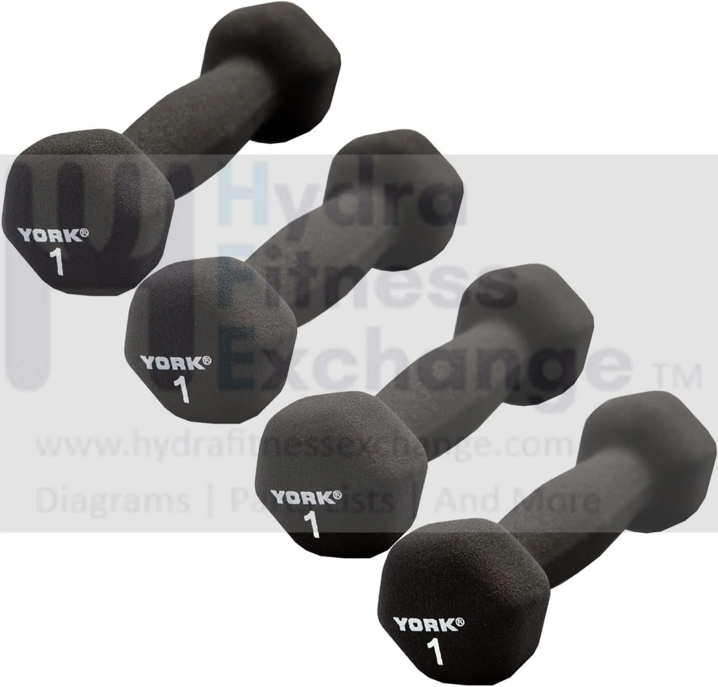 York Barbell Neoprene Hexagon Dumbbells with Cast Ergo Handle 1lb Pack 4 Durable
