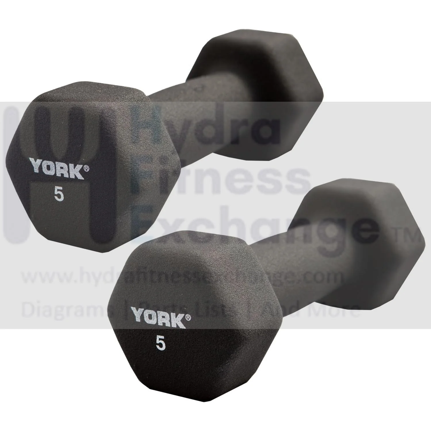 York Barbell Neoprene Hexagon Dumbbells with Cast Ergo Handle (5lb, Pack of 2)