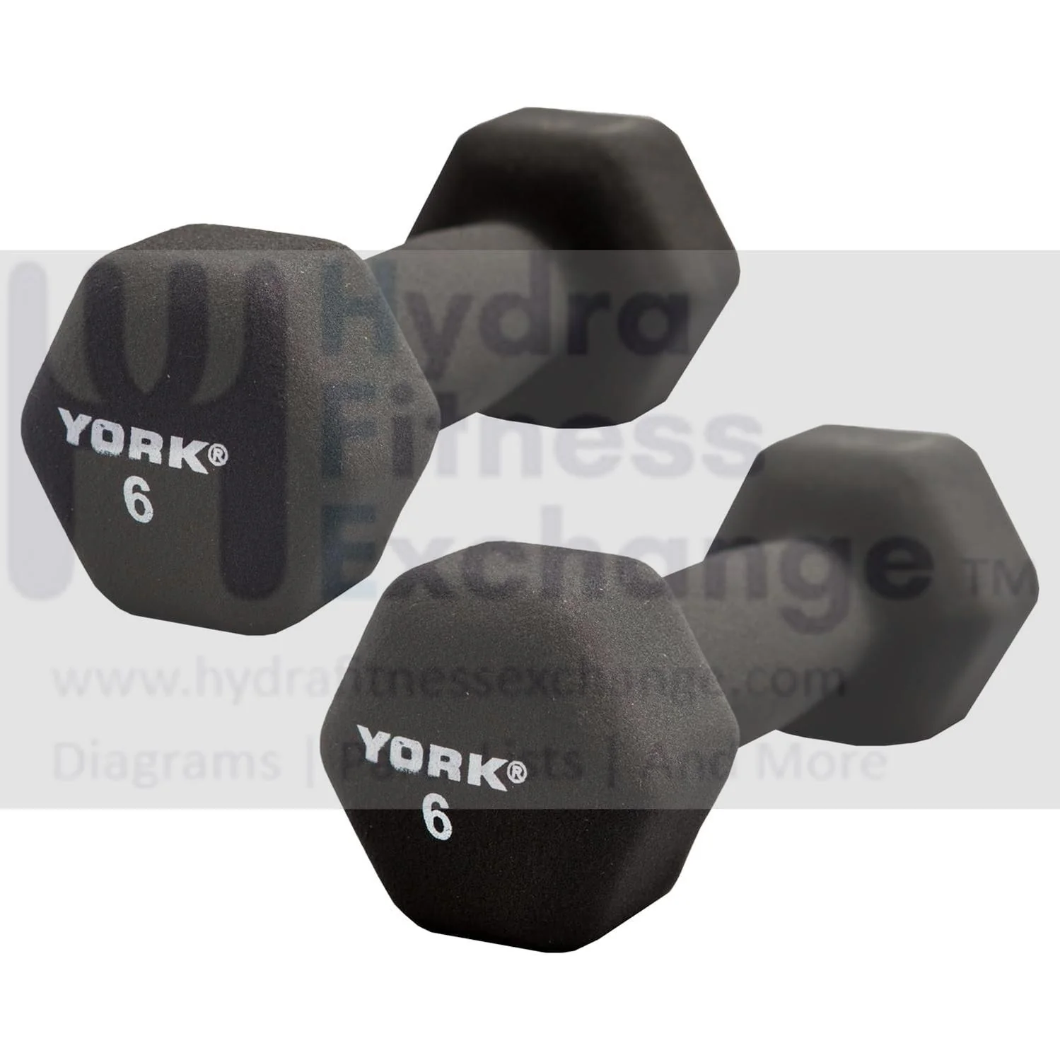 York Barbell Neoprene Hexagon Dumbbells with Cast Ergo Handle (6lb, Pack of 2)