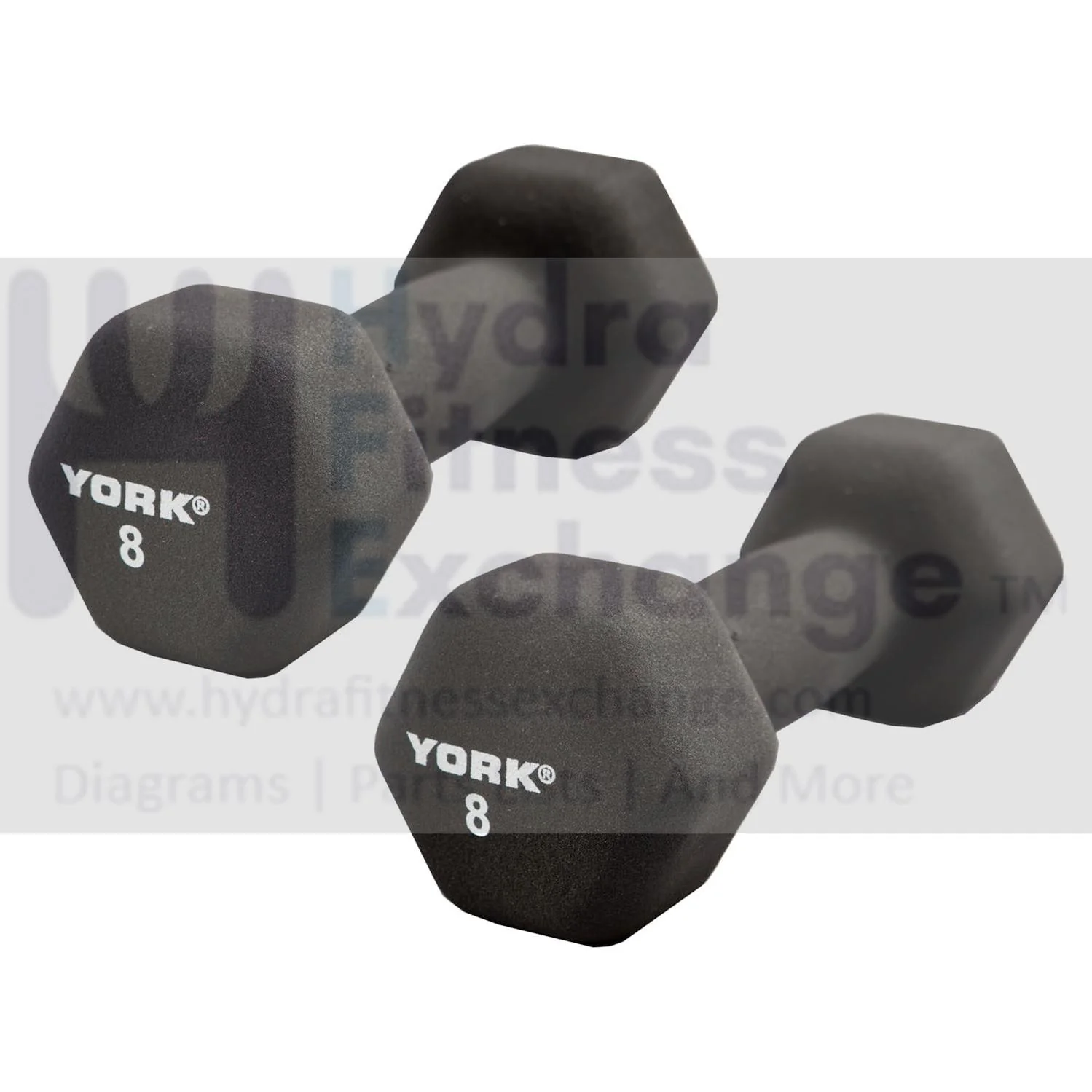 York Barbell Neoprene Hexagon Dumbbells with Cast Ergo Handle (8lb, Pack of 2)