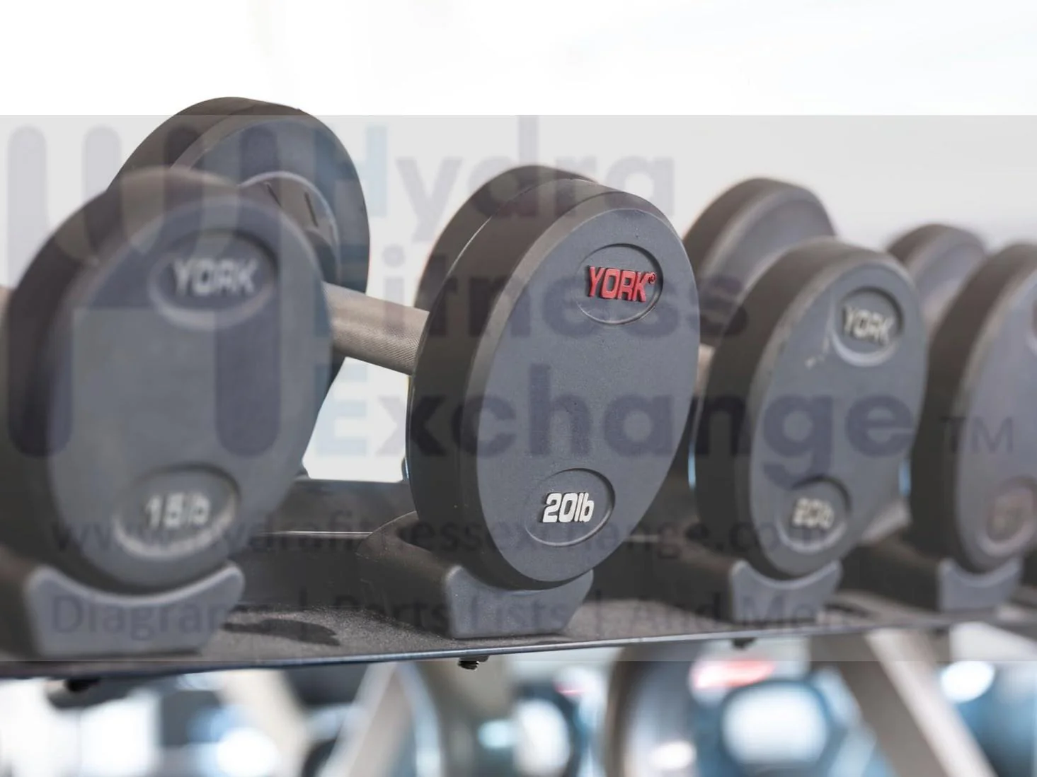 Dumbbell Set |York Barbell Pro Style Dumbbells 5-50 Lb Set – 30mm Knurled Chrome Handles
