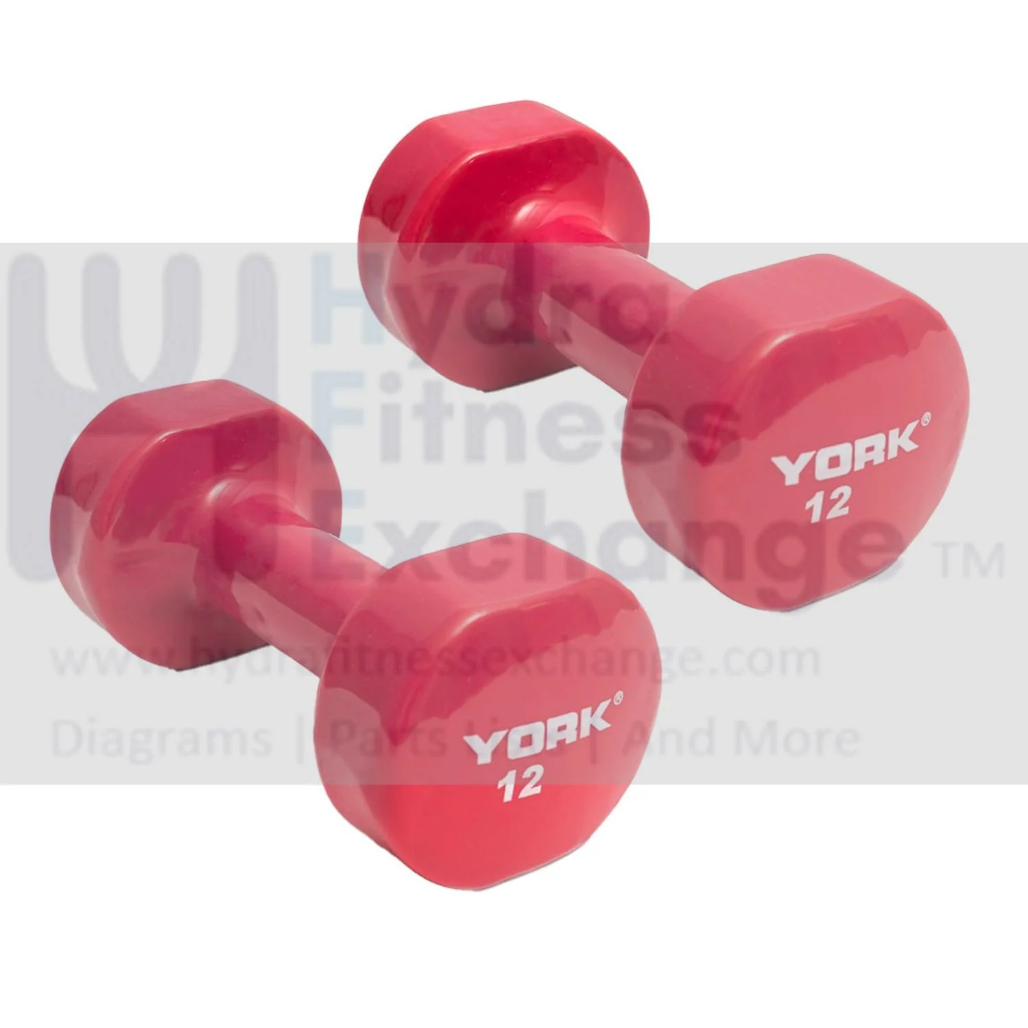 York Barbell Vinyl Coated Fitbell Dumbbell (12LB, Pack of 2) | Durable Anti-Roll Anti-Slip, Color Magenta | Ideal for Arm Rows Squats Chest Presses Bicep Curls Walking Jogging & Yoga