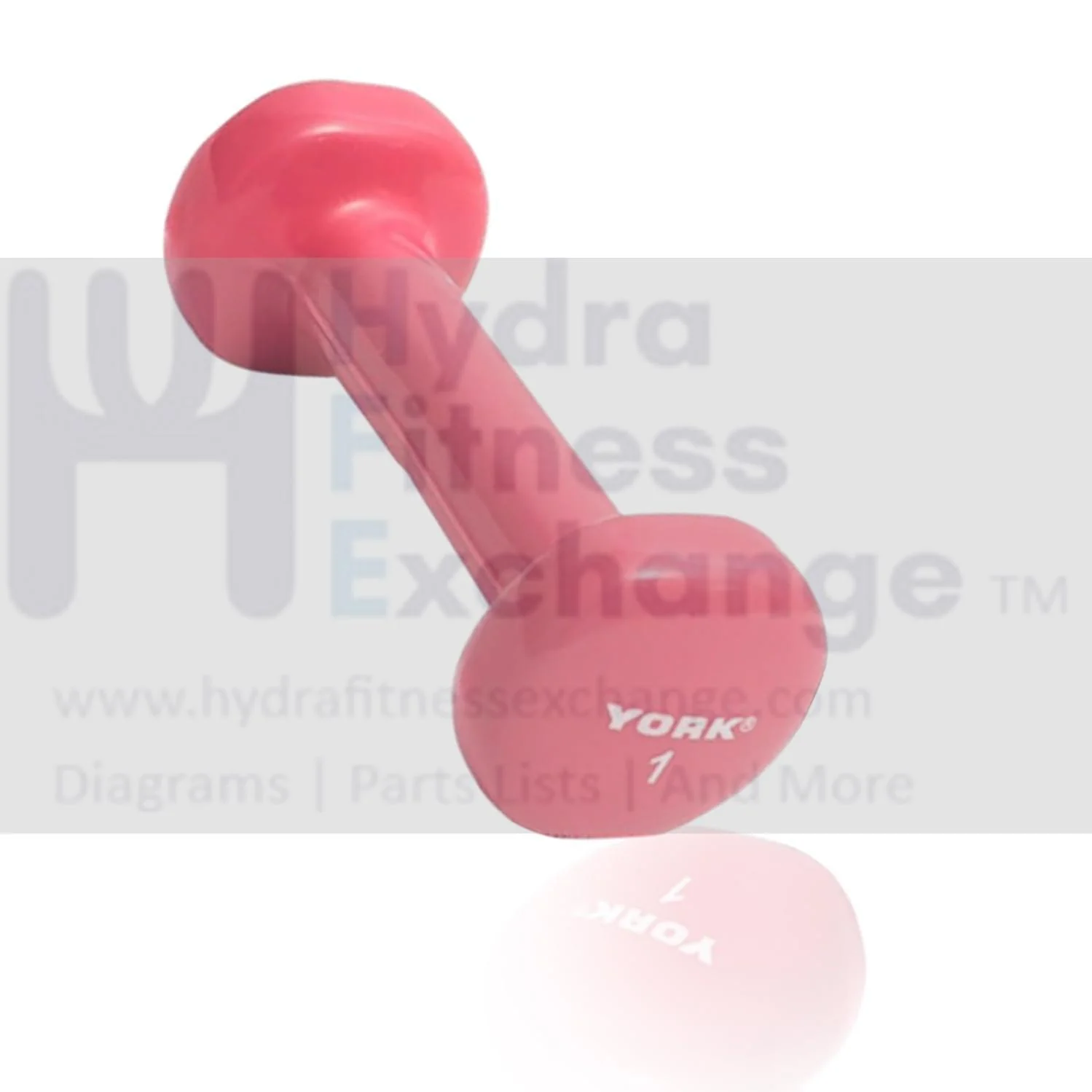 York Barbell Vinyl Coated Fitbell Dumbbell (1LB, Pack of 1) | Dumbbell Set for Women & Men Durable Anti-Roll, Anti-Slip, Pink | Ideal for Arm Rows, Squats, Chest Presses, Bicep Curls, Jogging & Yoga