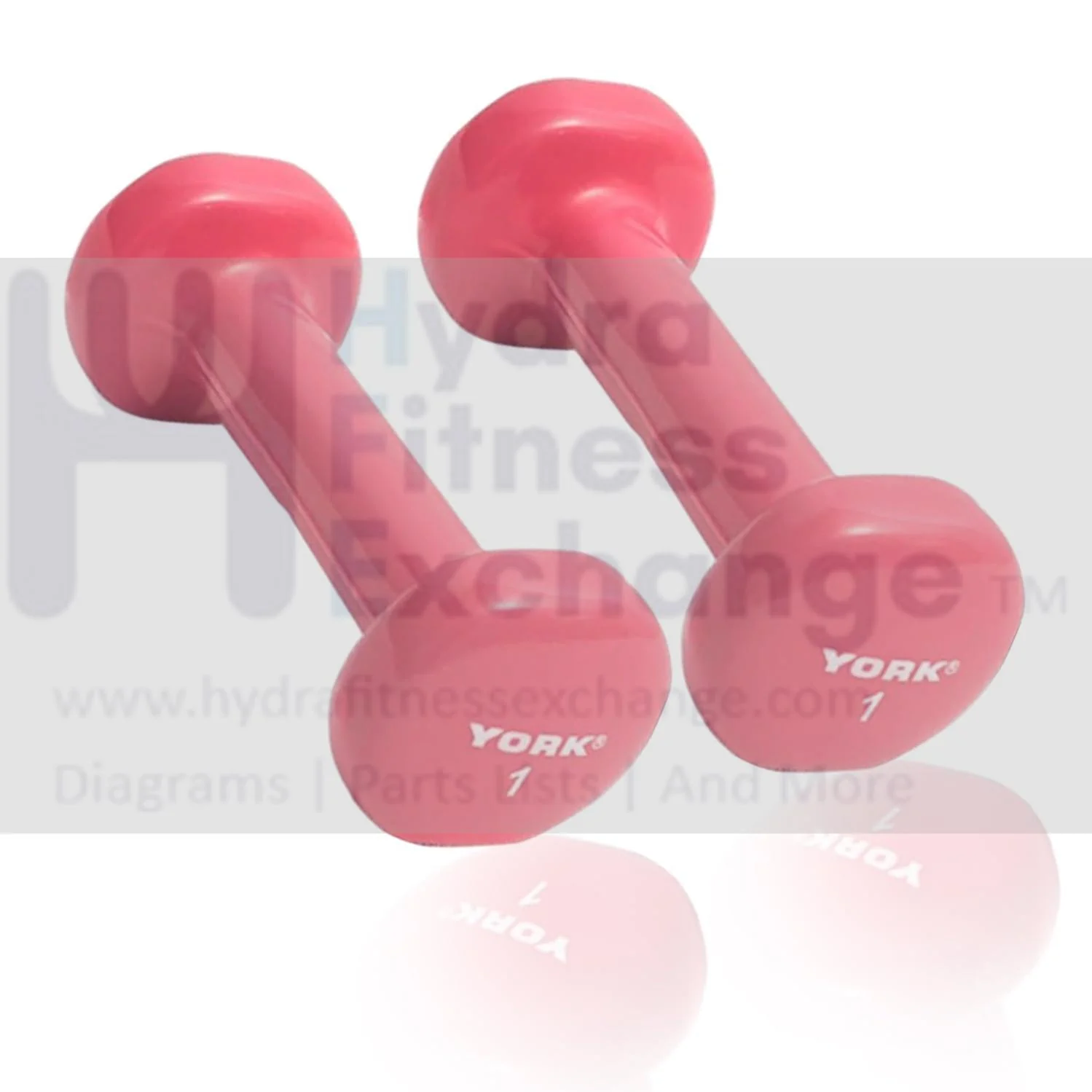 York Barbell Vinyl Coated Fitbell Dumbbell (1LB, Pack of 2) | Dumbbell Set for Women & Men Durable Anti-Roll, Anti-Slip, Pink | Ideal for Arm Rows, Squats, Chest Presses, Bicep Curls, Jogging & Yoga
